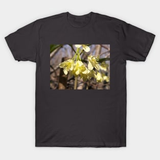 Yellow flowers T-Shirt